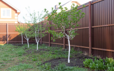 Exploring the Art of Fencing Installations in Scunthorpe